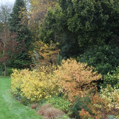 Botanic Garden owned by the University of Hull with an active Friends of Thwaite Gardens Group #FOTG 
https://t.co/PwiBmzN7wa