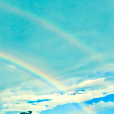 neconecociruco's profile picture. 保護した猫５匹と…
日日是好日
🌈虹の橋で逢おうっ…🐱