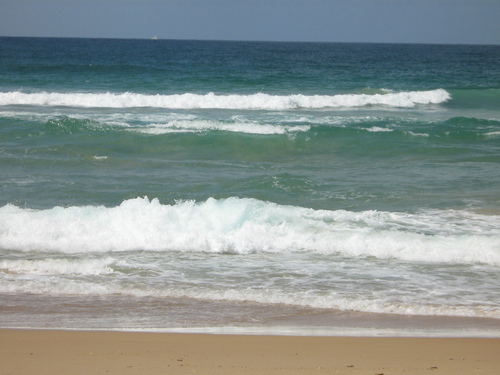 Living the dream on the Sunshine Coast.