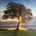 Jon Day - @JonDay82393913 - Twitter