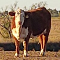 Randy Ymker (@randyymker) 's Twitter Profile Photo Randy Ymker (@randyymker) 's Twitter Profile Photo