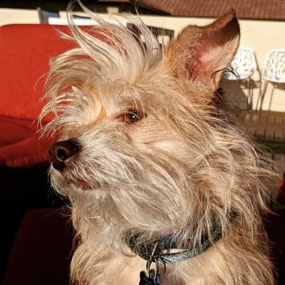 Agents_of_PLACE's profile picture. 