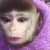 alexa demie’s long lost twin (@desigaga1998) Twitter profile photo alexa demie’s long lost twin (@desigaga1998) Twitter profile photo