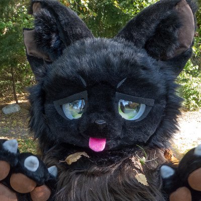 Fursuiting account of @ainsproclaims 

Tobin the werecritter by me
Fika the cat by @feathersokapi

opinions are my own