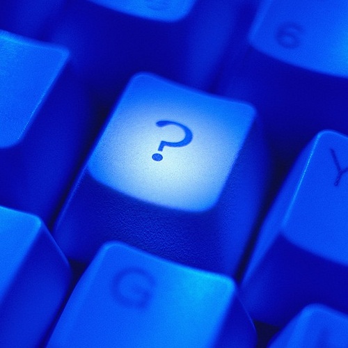 tildedqanda's profile picture. 