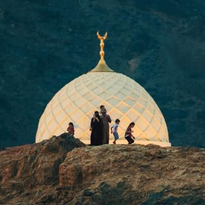 mohammadhamzaht's profile picture. 