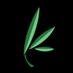 Arizona Dispensaries Association (@az_dispensaries) Twitter profile photo