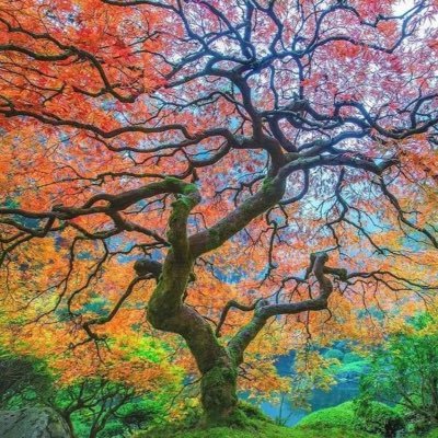 Lizzycarron's profile picture. 