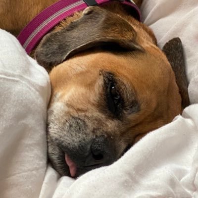 matt_haskins's profile picture. 