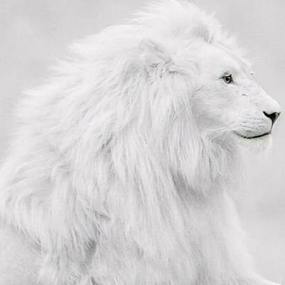 #عُمر | ❄️さんのプロフィール画像