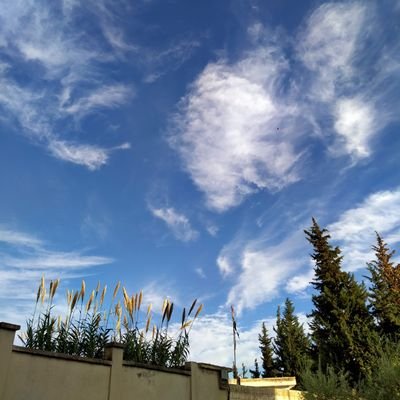 ReemMAJ9's profile picture. • 📷
• 📐
• 🖌