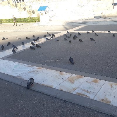 alimohawmadh3's profile picture. .ama