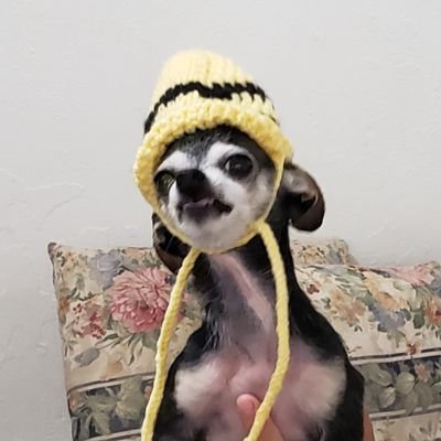 Libbnattin's profile picture. Am I an entertaining person? Better than you'd expect, but worse than you'd hope.