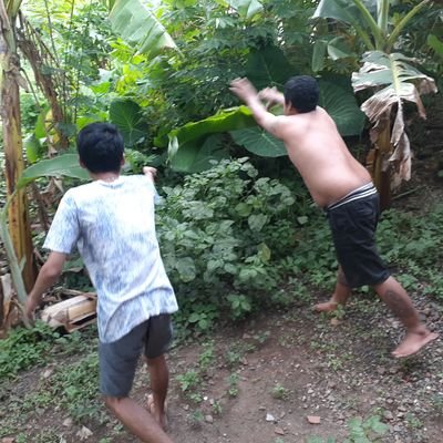 Temon48340182's profile picture. Lewati untuk saat ini