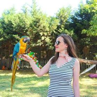 Gülçin Yılmaz Özkan (@yilmazgulcinn) Twitter profile photo