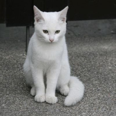 Dearちゃんさんのプロフィール画像