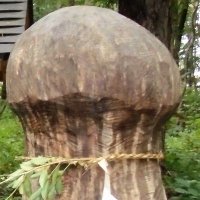 sl ted sweet (@sltedsweet2) Twitter profile photo