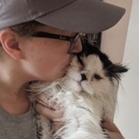 x-kat 😺🏳️🌈🏳️⚧️🇵🇸 (@sawyermomee) 's Twitter Profile Photo x-kat 😺🏳️🌈🏳️⚧️🇵🇸 (@sawyermomee) 's Twitter Profile Photo