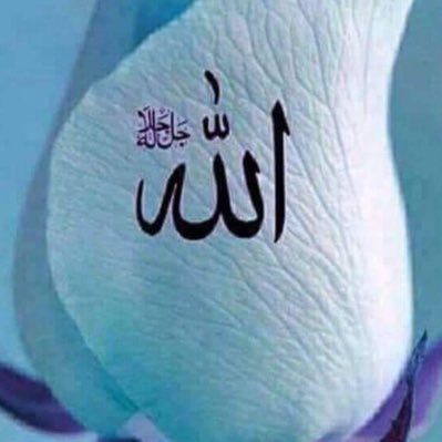 MHaroon73004657's profile picture. i am not perfect but i cooked very well because perdais  wich desy mahol dil dy khwaish c