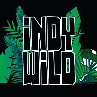 Indy Wild | Junior Boys Volleyball | #youngwildandvb