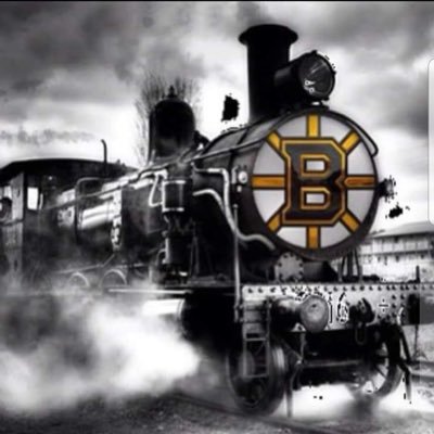 Boston Bruins Fan