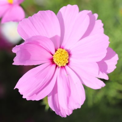 K26269983's profile picture. 