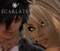 There are more than 3 (2008) years ago, I discovered a passion for SL (SecondLife) and the creation in SL. Since I create many clothes.