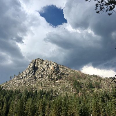 fernmatic's profile picture. 