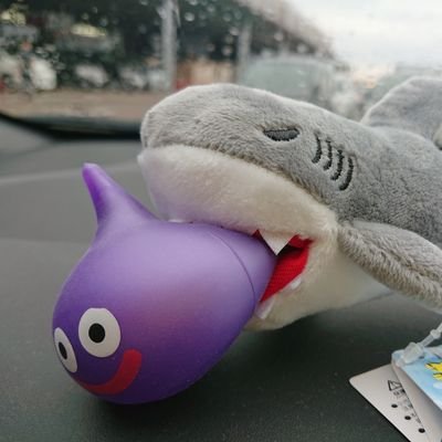 adgjmptw198907's profile picture. 