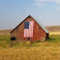 DP 🇺🇸 (@thedp_) 's Twitter Profile Photo DP 🇺🇸 (@thedp_) 's Twitter Profile Photo