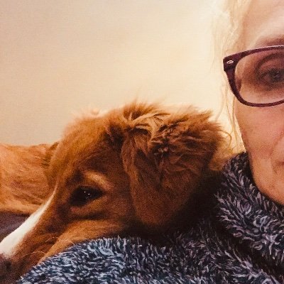 AngelaW98807861's profile picture. RTs are not endorsements