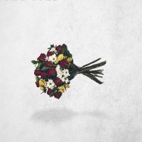 I The Fire (@ithefireband) 's Twitter Profile