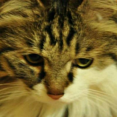 Gio02987438's profile picture. 