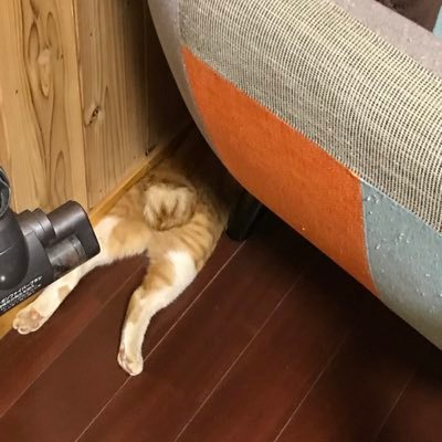 taca_TAKa4's profile picture. 2004だか2005年頃60万円から株を始める。2017年までは株の利益は即 使いきるだったが、2018以降は再投資へと。しがない会社経営の傍ら日本、米国株が主。特技は融資（回収不能）、両利き。お家建ててます。