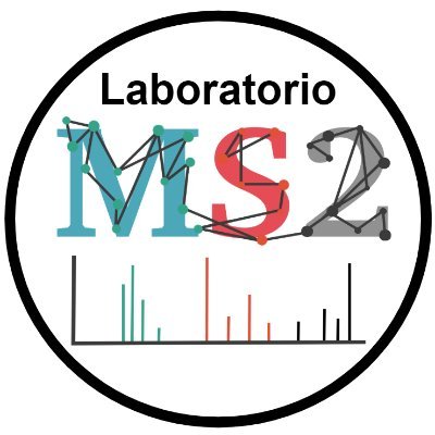 @LabMs2