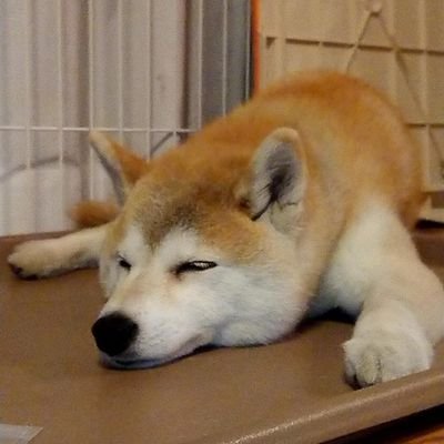 はちすけ セブンイレブンの高校生バイト レジで同僚から暴行 防犯カメラ映像流出 弁護士ドットコム Y ニュース Yahooニュースアプリ 見た感じいい歳したオッサンだろ こんなんだからアルバイターなんだよw T Co 1qwjlr9vp6 はちすけ セブンイレブンの高校生バイト レジで同僚から暴行 防犯カメラ映像流出 弁護士ドットコム Y ニュース Yahooニュースアプリ 見た感じいい歳したオッサンだろ こんなんだからアルバイターなんだよw T Co 1qwjlr9vp6