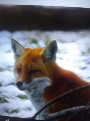 Marguer29228634's profile picture. j'aime les montagnes,laforets(j'ai vécu 6ans en forêts)