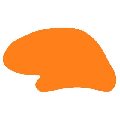 BrainDataFi's profile picture. 