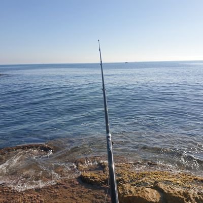 finnruari's profile picture. Harrington, Lowry, ferries  (tim/Stephen), musk, bono, Messi, Keane, Branson, Peppa pig