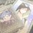 原田まこのアイコン
