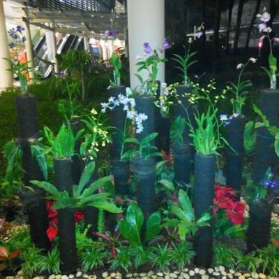 NeverGi10468712's profile picture. never give up