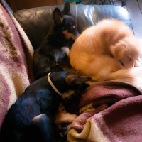 Dave Vaughan (@vaughanriordan) 's Twitter Profile Photo