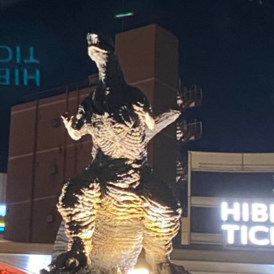 FUNRUN36434430's profile picture. 国民のために働かない政府には物申す