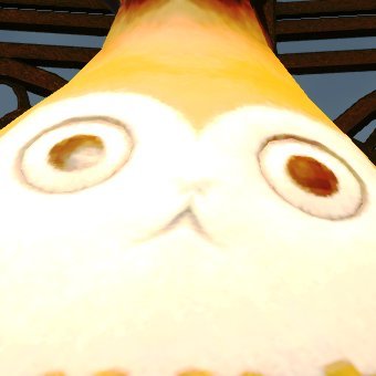 ぎゃんさんのプロフィール画像