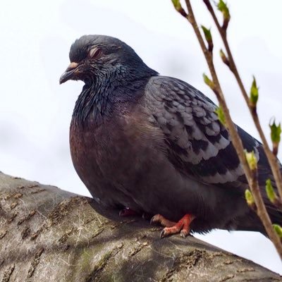 いなっちさんのプロフィール画像