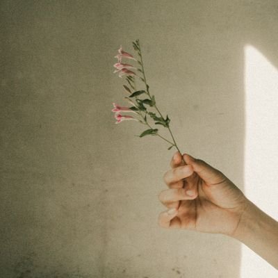 WednesdayTalks's profile picture. curious about social media | wanderer