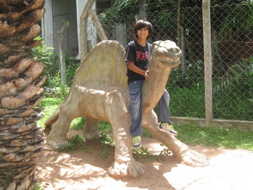 filenow's profile picture. 