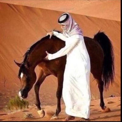 ••✍ يتساقط الاصدقاء عاماً بعد عام بعضهم يسقط من الذاكرة وبعضهم من القلب وبعضهم من العين لندرك حينها أن السعادة ليست في عددهم بل في قيمتهم !