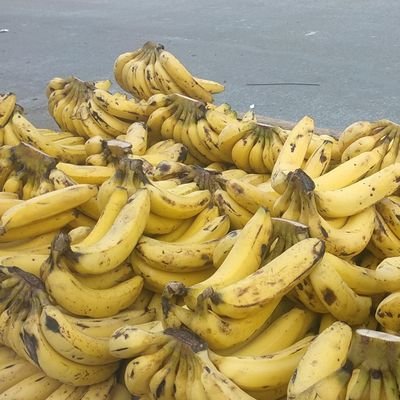 GaneshY68689070's profile picture. I am very difficult for INDIA All State university city