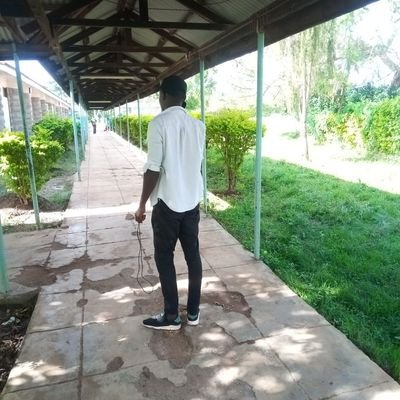 GumbohJames's profile picture. 